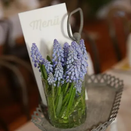 מלון Gaestehaus Schloss Plaue